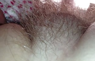 seks porno Seksi kuje pokazuju svoje čari